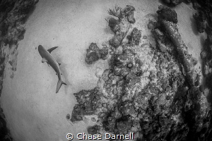 "Sand Driftin"
I love the separation the sand gives the ... by Chase Darnell 